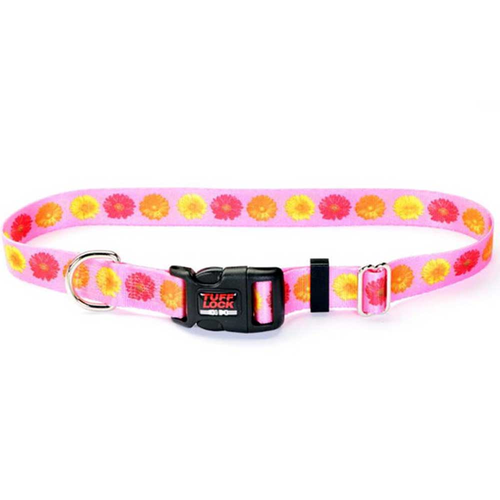 Tuff Lock Collar Daisies - Large