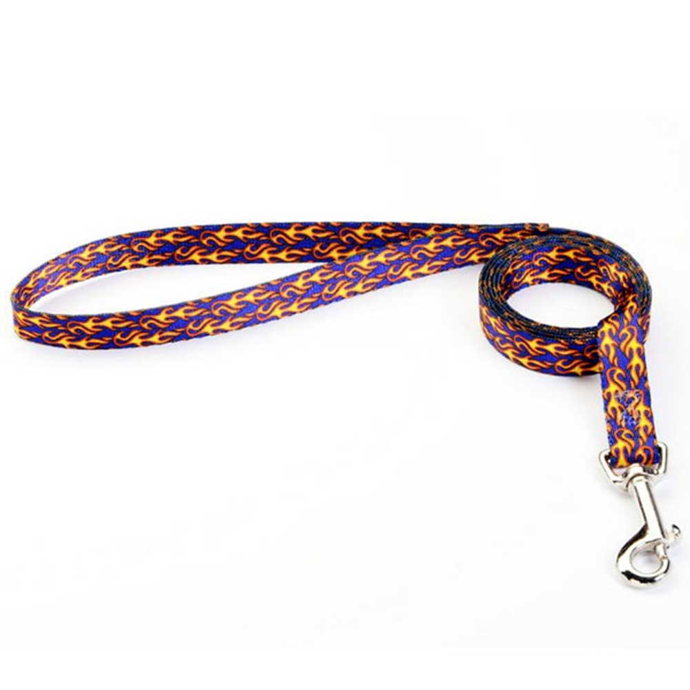 Tuff Lock 6' (180 cm) Leash, Medium (Hot Rod Royal)