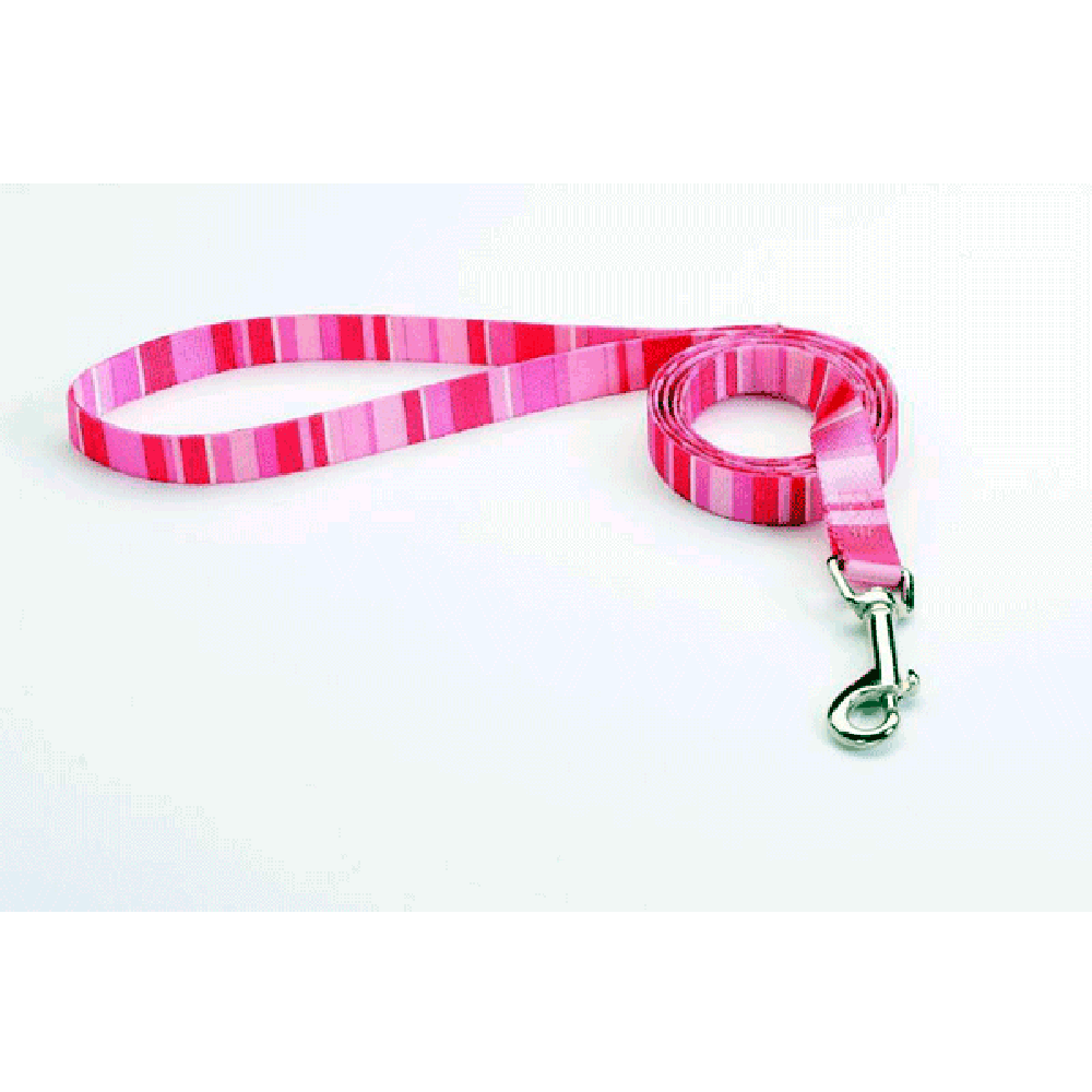 Tuff Lock Leash Stripeez Pink - Small