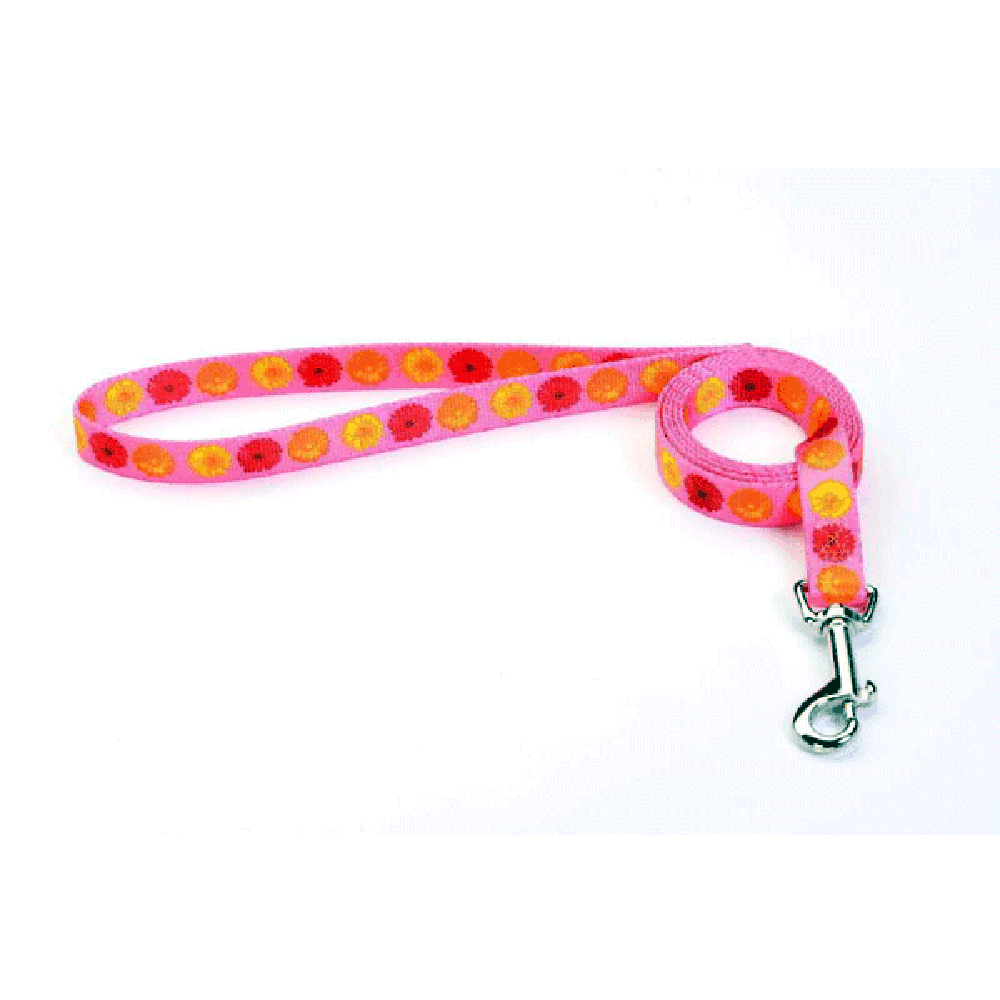 Tuff Lock Leash Daisies - Small