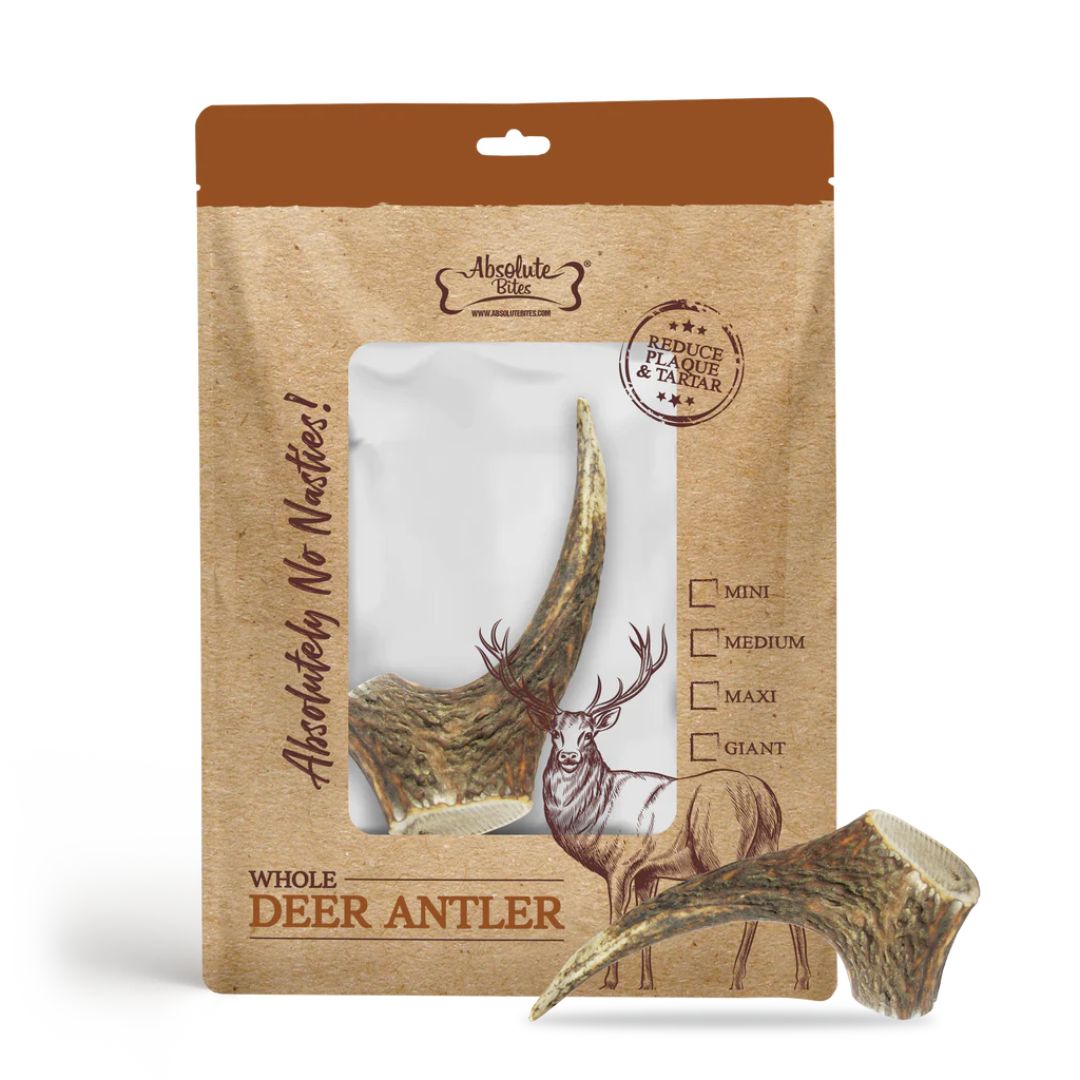 Absolute Bites Whole Deer Antlers Dental Chew Maxi