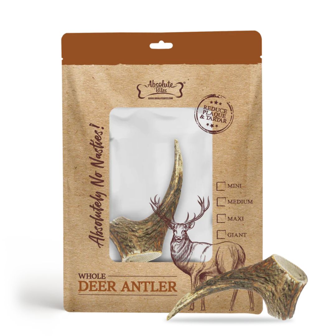 Absolute Bites Whole Deer Antlers Dental Chew Medium 