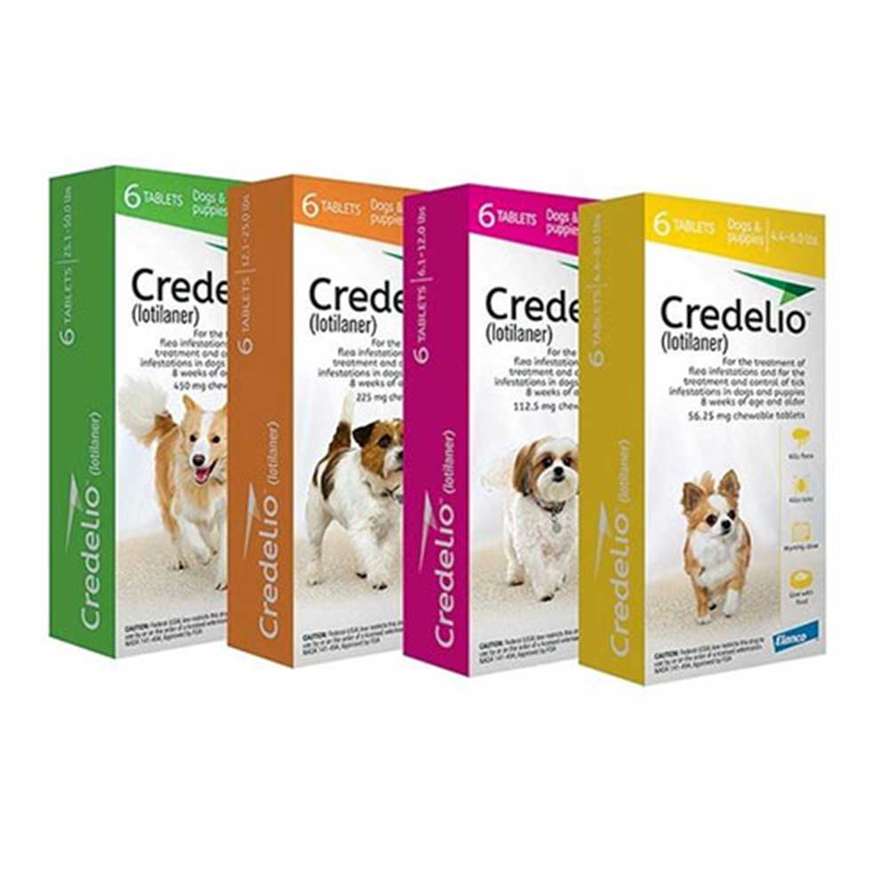 Credelio Flea & Tick Chewable Tablets