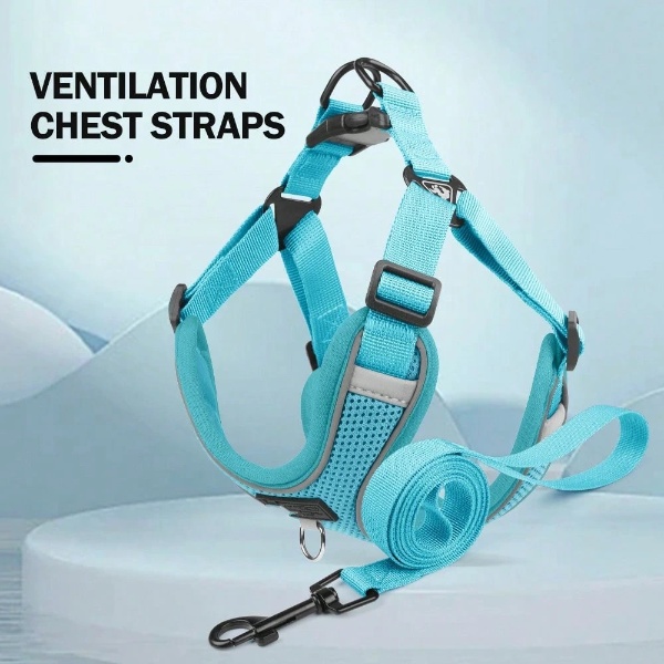 Wiggles Reflective Dog Harness + Dog Leash Blue XS