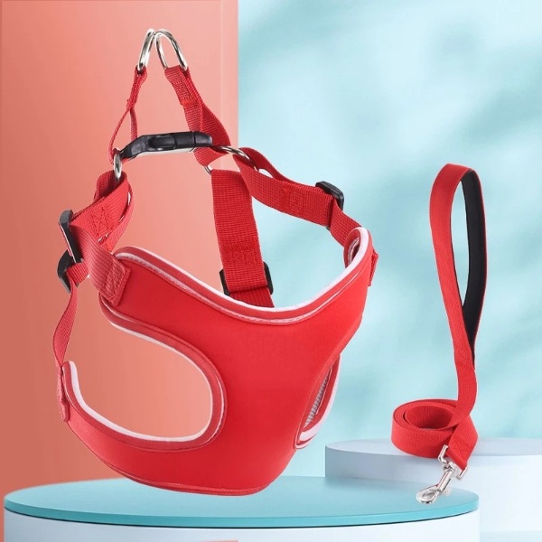 Wiggles Reflective Dog Harness + Dog Leash Red XS