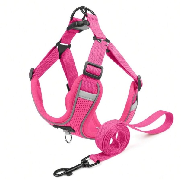 Wiggles Reflective Dog Harness + Dog Leash Pink XS