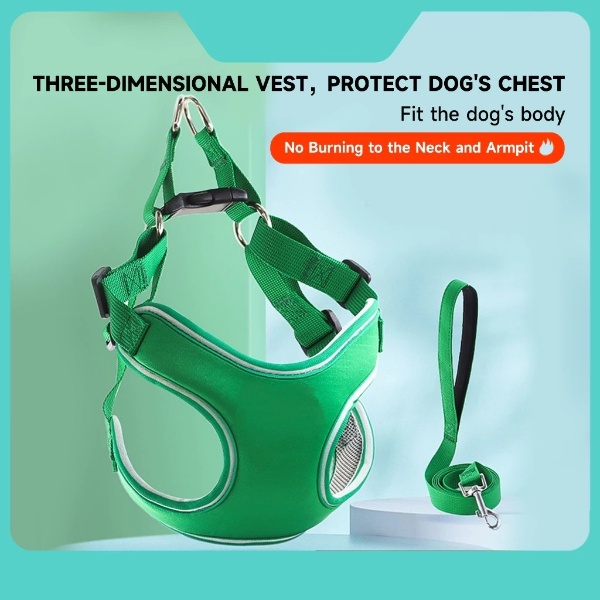 Wiggles Reflective Dog Harness + Dog Leash Green XS