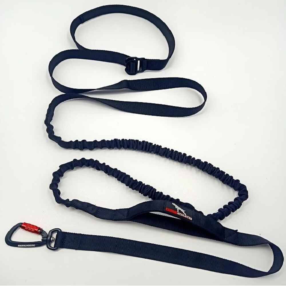 Wiggles Waist Bungee Leash 10ft