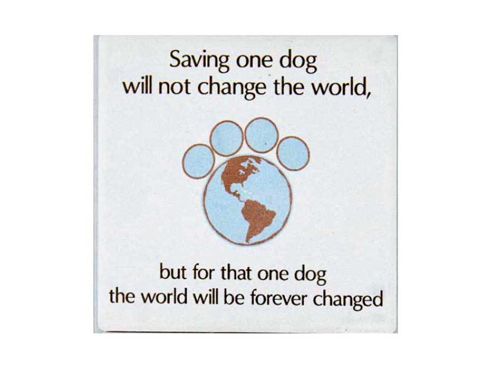 Stone Coaster - Saving One Dog