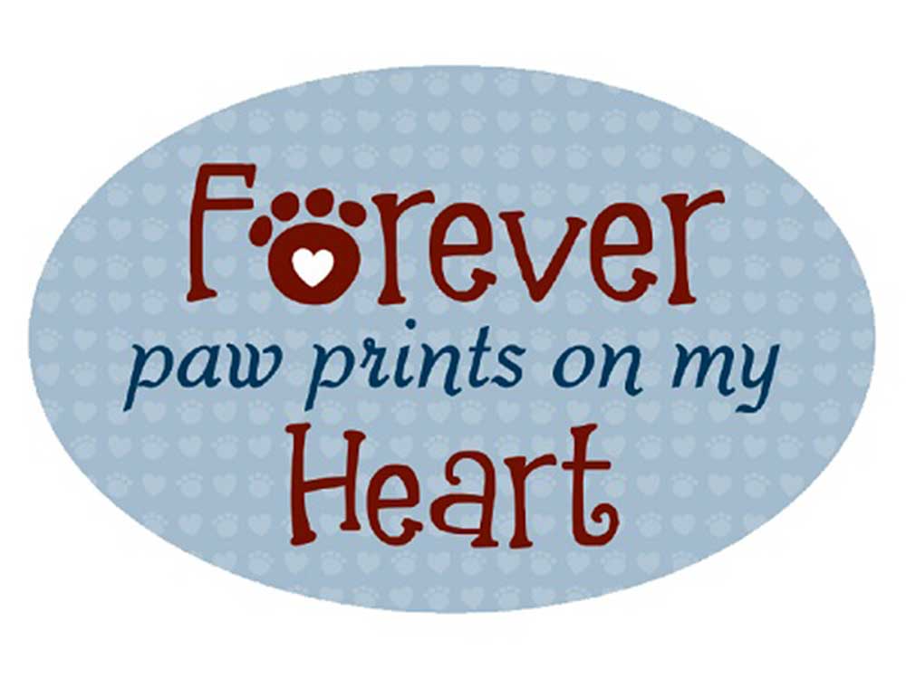 Oval Magnet - Forever Paw Prints