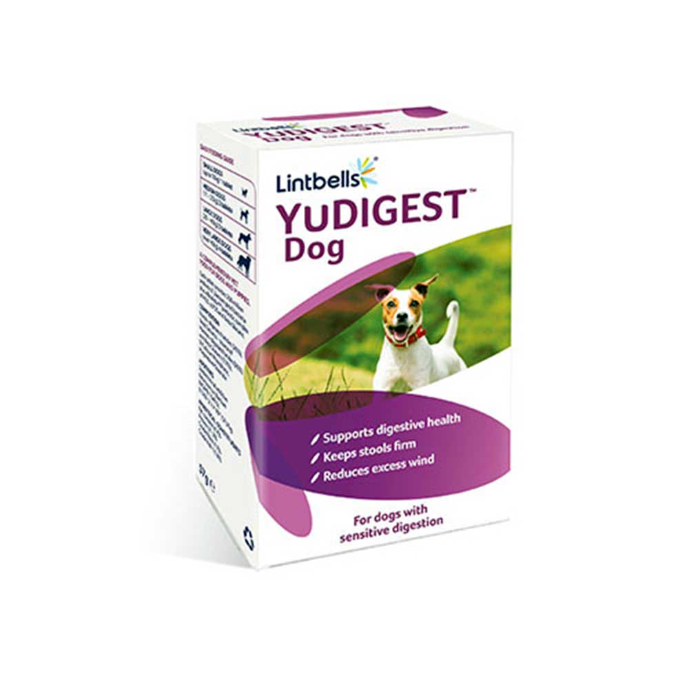 YuMove Digestive Care Dog Tablets 120 Pack