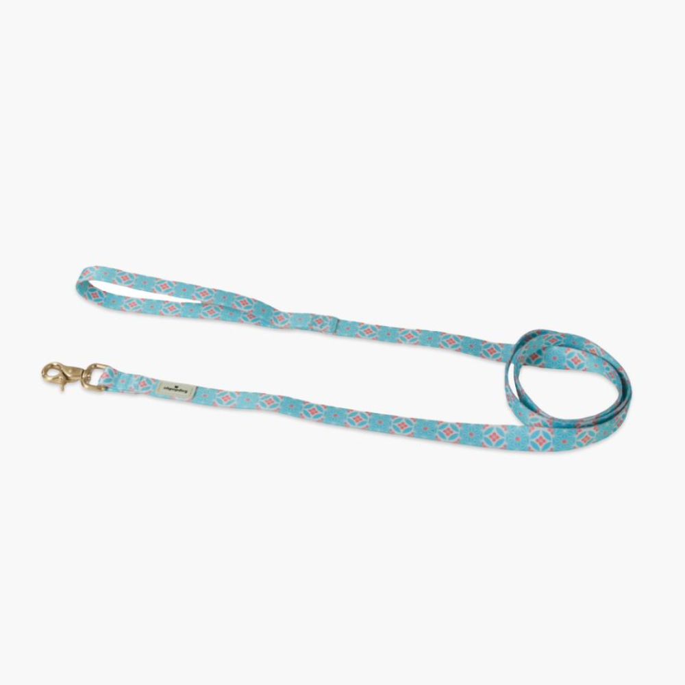 Ohpopdog Straits Mint Nylon Leash