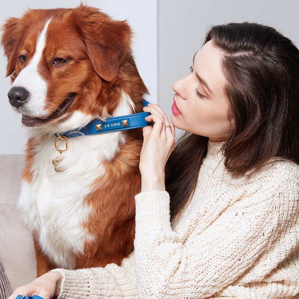 Petsochic Leather Dog Collar Blue XXL