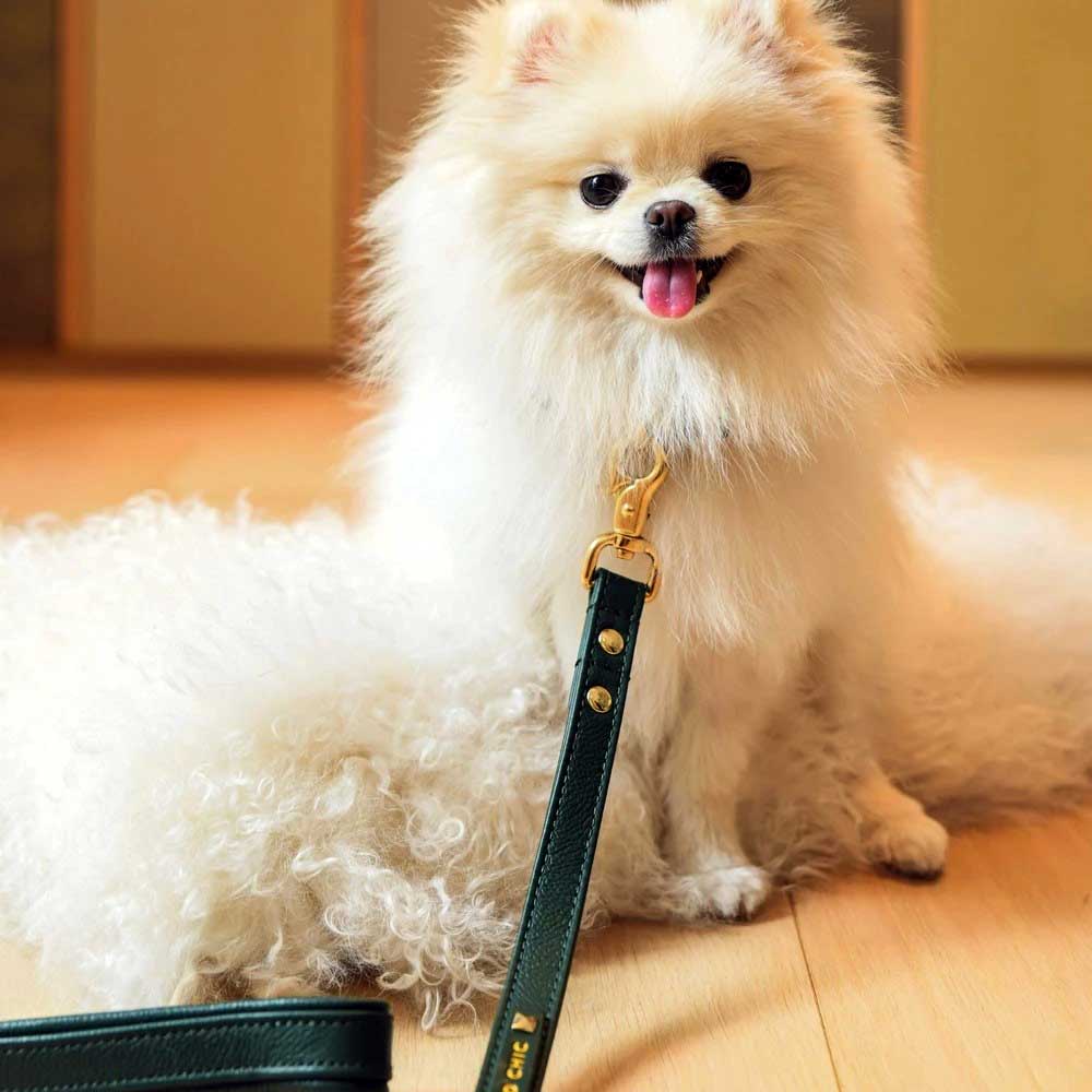 Petsochic Leather Dog Leash Green Medium