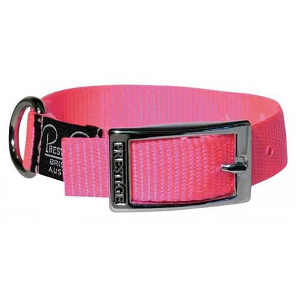 Prestige Pet Single Layer Nylon Collar 3/4"X16" Hot Pink(41Cm)