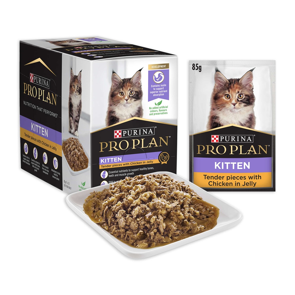 Pro Plan Cat Wet Kitten Chicken 85g x 12