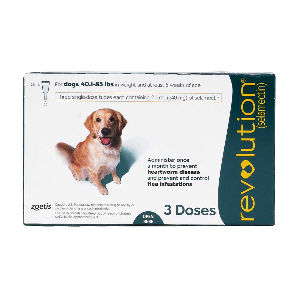 Revolution Teal Large 40.1-85lbs 3Pk USA