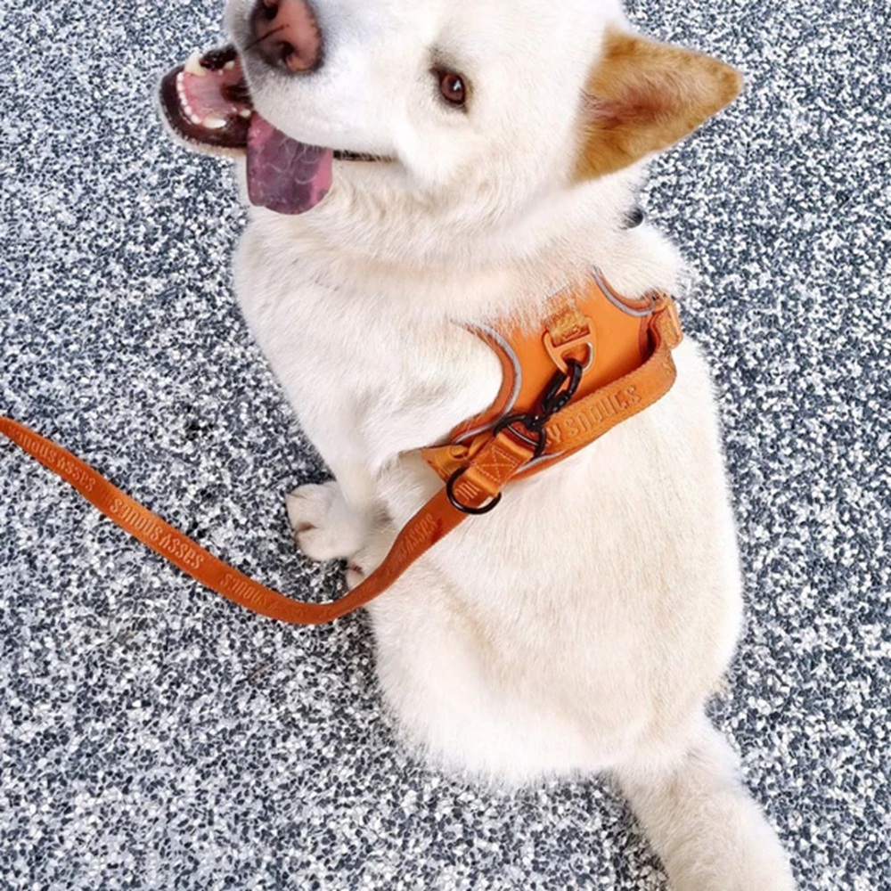 Sassy Snouts Signature Multi-way Leash in Caramel Gen 2.0