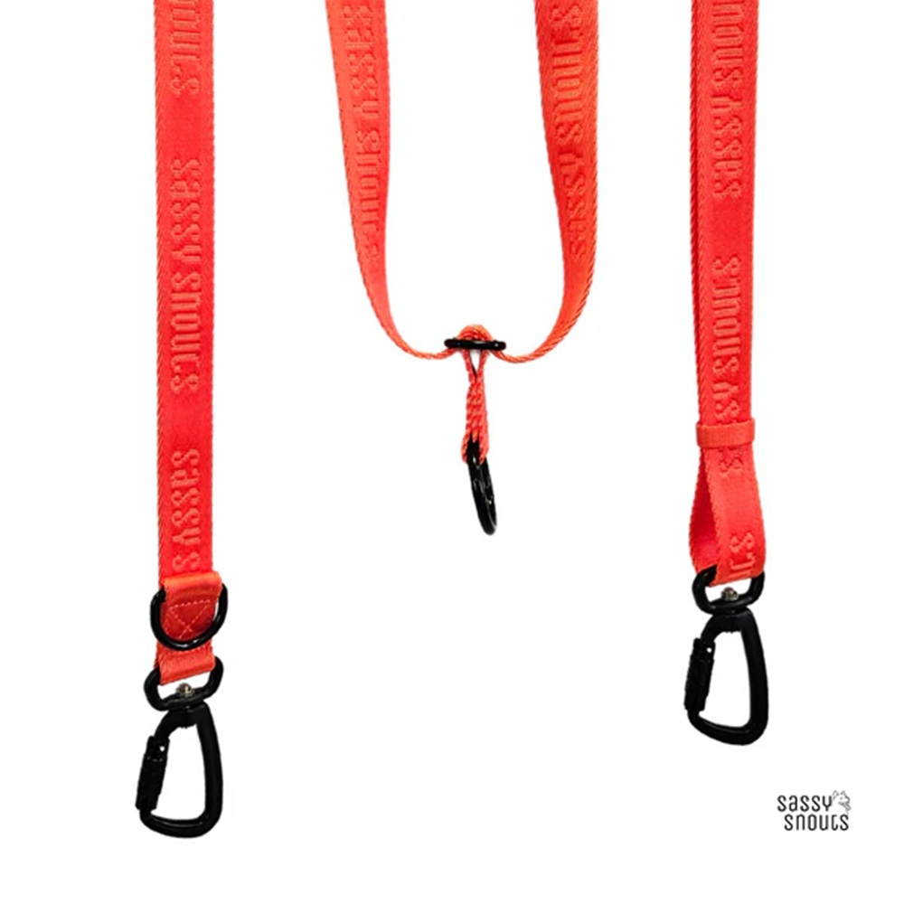 Sassy Snouts Signature Multi-way Leash in Vermilion Gen 2.0