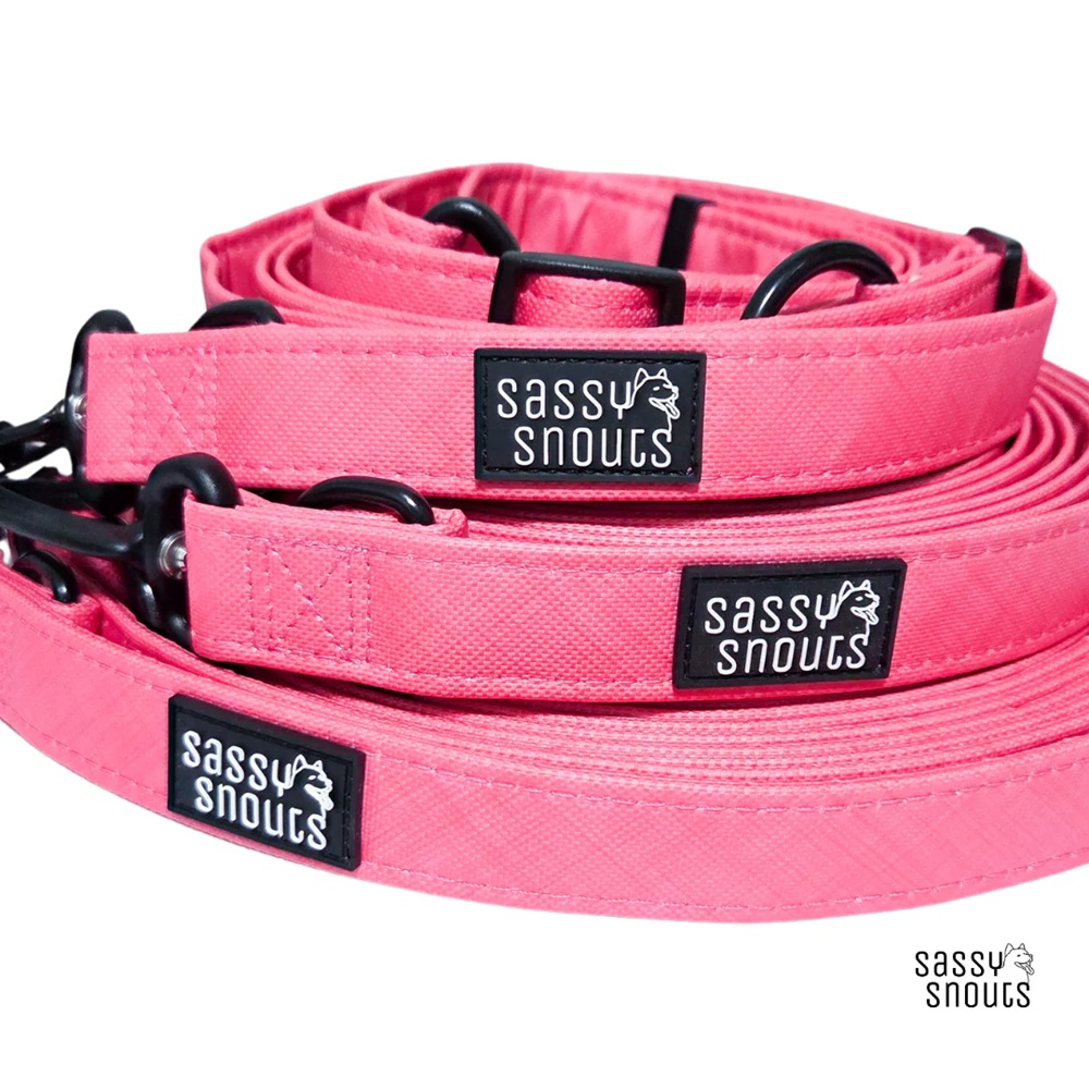 Sassy Snouts Splash Multi-way Leash in Coral Gen 2