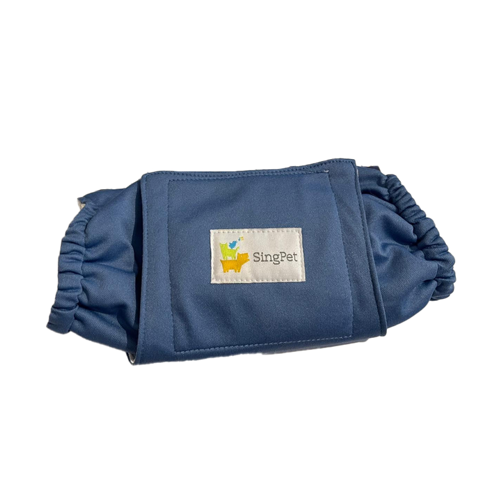 Wiggles Washable Diaper Male - Blue L