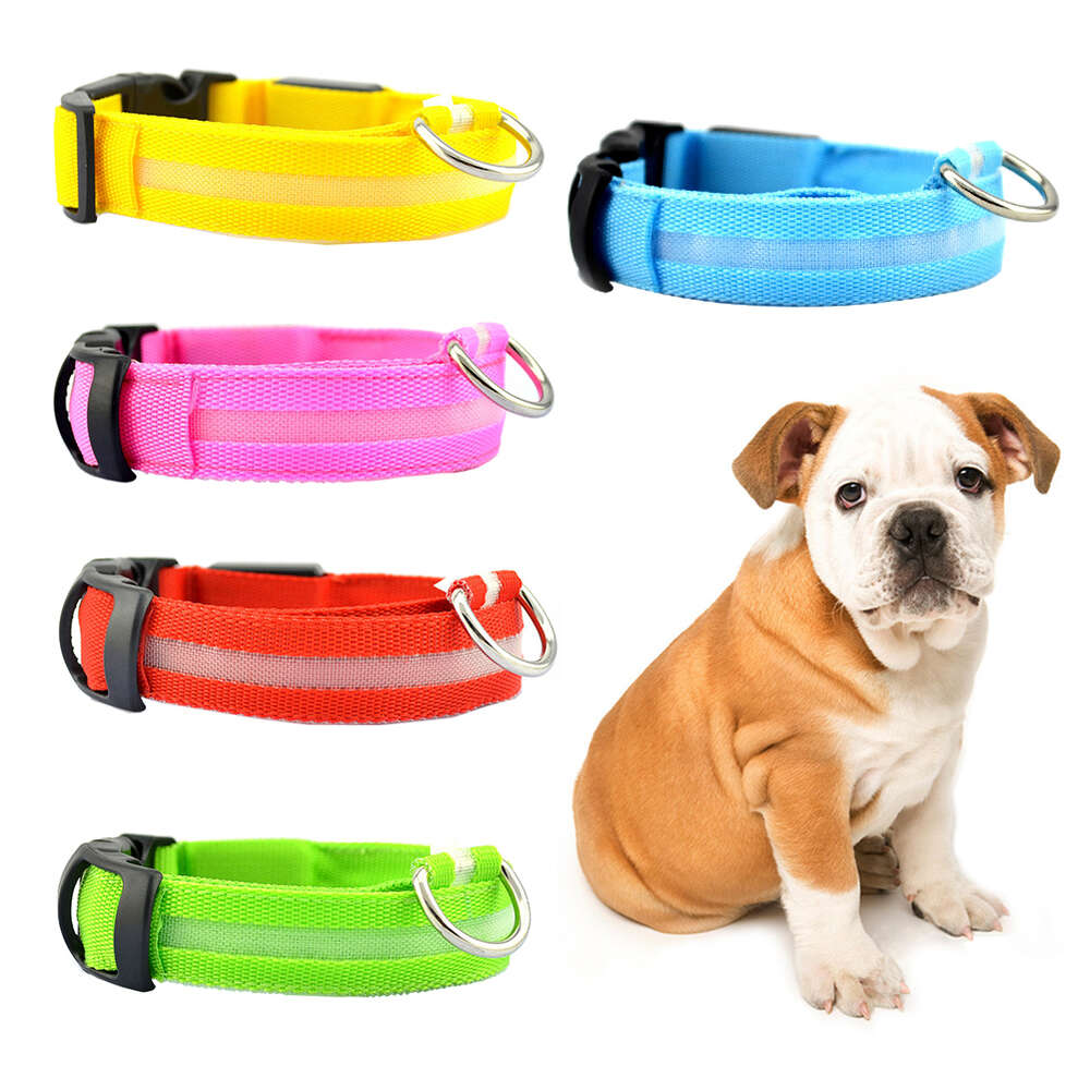 Wiggles USB LED Dog Collar