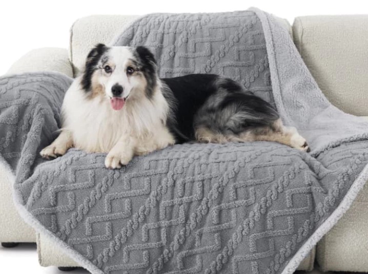 Wiggles Waterproof Pet Blanket